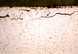 grain coarsening cracking