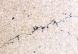 rolling contact fatigue crack