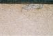 white etching area (WEA)