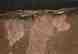 (2) turbine blade microstructure