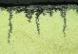 Corrosion Fatigue Cracks in Brass