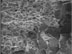 Ductile/Brittle Fracture